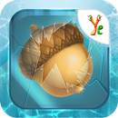 Nut Hunt APK