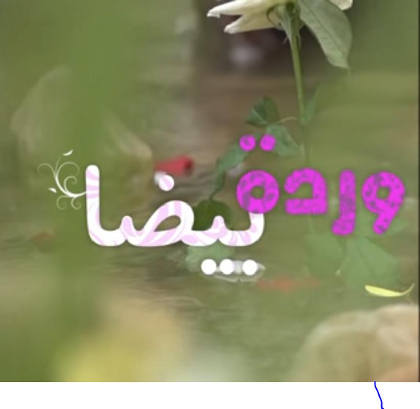 وردة بيضا ريماس العزاوي بدون إيقاع وانترنت For Android Apk Download