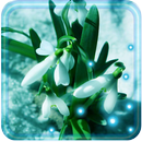 Early Spring APK