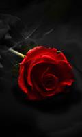 Gothic Rose Live Wallpaper Affiche