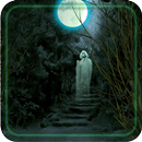 Horror Gallery live wallpaper APK