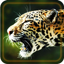 Jaguar Jungles 2016 LWP APK