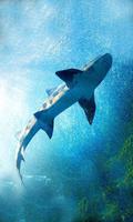 Sharks Sea live wallpaper Affiche