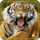 Tigers Wild 2016 HD LWP APK