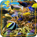 Tropical Fishes APK