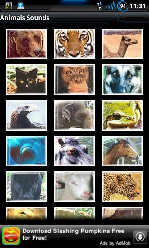 Best Real Animal Sounds Free APK for Android Download Best Real Animal Sounds Free APK for Android Download