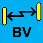 BV icon