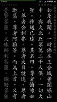 佛說大乘無量壽莊嚴清淨平等覺經 الملصق