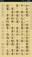 佛說大乘無量壽莊嚴清淨平等覺經 تصوير الشاشة 2