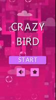 Crazy Bird poster