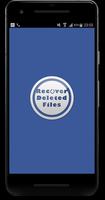 Recover My Files poster