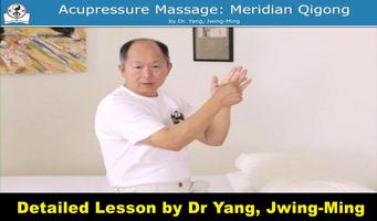 Acupressure Massage Qigong capture d'écran 3