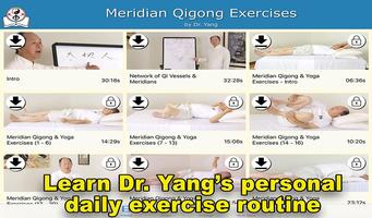 Meridian Qigong Exercises Affiche