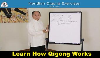 Meridian Qigong Exercises تصوير الشاشة 2