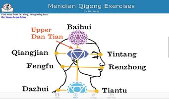 Meridian Qigong Exercises تصوير الشاشة 3
