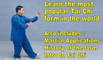 Tai Chi 24 & 48 English Spanis 海報