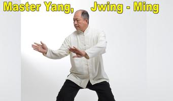 Tai Chi 108 Yang Form اسکرین شاٹ 3