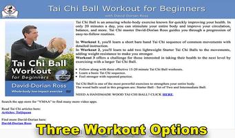 Tai Chi Ball Beginner 截圖 1