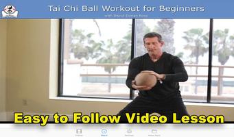 Tai Chi Ball Beginner 截圖 2