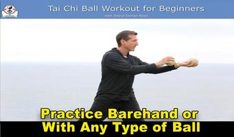 Tai Chi Ball Beginner 截圖 3