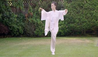 Tai Chi for Beginners 48 Form imagem de tela 2