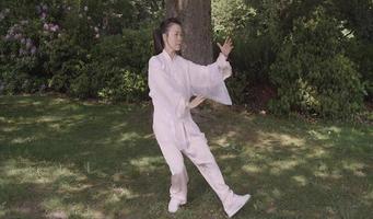 Tai Chi for Beginners 48 Form imagem de tela 3