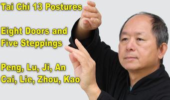 Tai Chi 13 Postures スクリーンショット 1