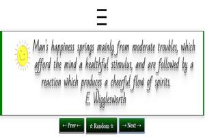 Happiness Quotes. Joy in Life poster