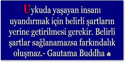 Günün Sözü - Turkish Quotes captura de pantalla 2