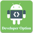 Shortcut for Enable & Disable Developer Options APK