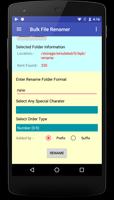Bulk File Renamer Screenshot 2