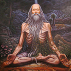 Yogi icon