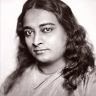 YogaNanda Yogi ikona