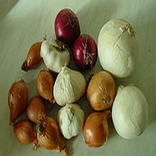 فوائد البصل