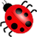 Insects Flash Cards Tamil APK