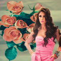 Top Sher-o-Shayari Collection