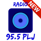 Radio for  95.5 PLJ New York WPLJ ikon