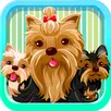 Yorkie Emoji - Yorkshire Terrier Dog Stickers APK