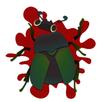 Tap bugs to kill APK