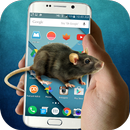 شاشة الماوس APK