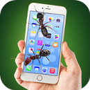 Karınca Ekran APK