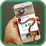 Snake On Screen icon