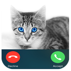 ikon Help my Cat Calling Prank