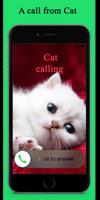 Help my Cat Calling Prank poster