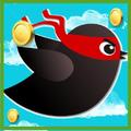 BirdNinja