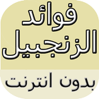 فوائد الزنجبيل icône