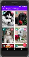 Puppies Live Wallpapers HD Affiche