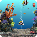Underwater Live Lock