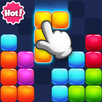 9x9 Block! APK