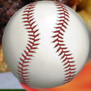 Wild Pitch Sports Bar & Grill APK